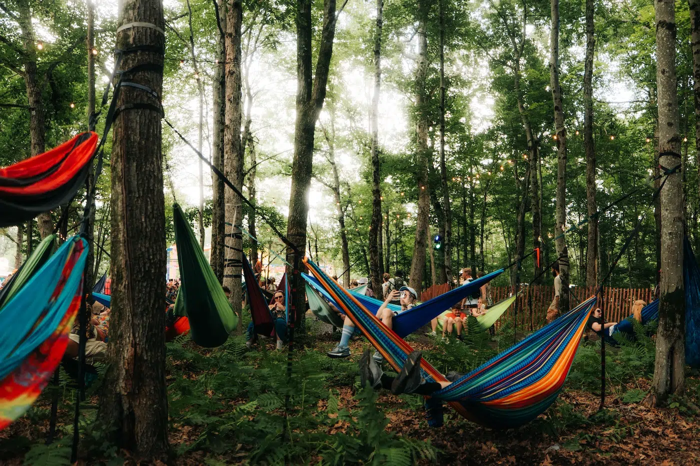 Elements Festival