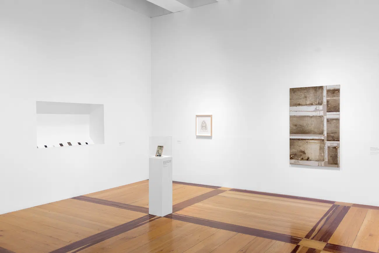 Installation View of Gabriel de la Mora's exhibition La Petite Mort at MARCO 
