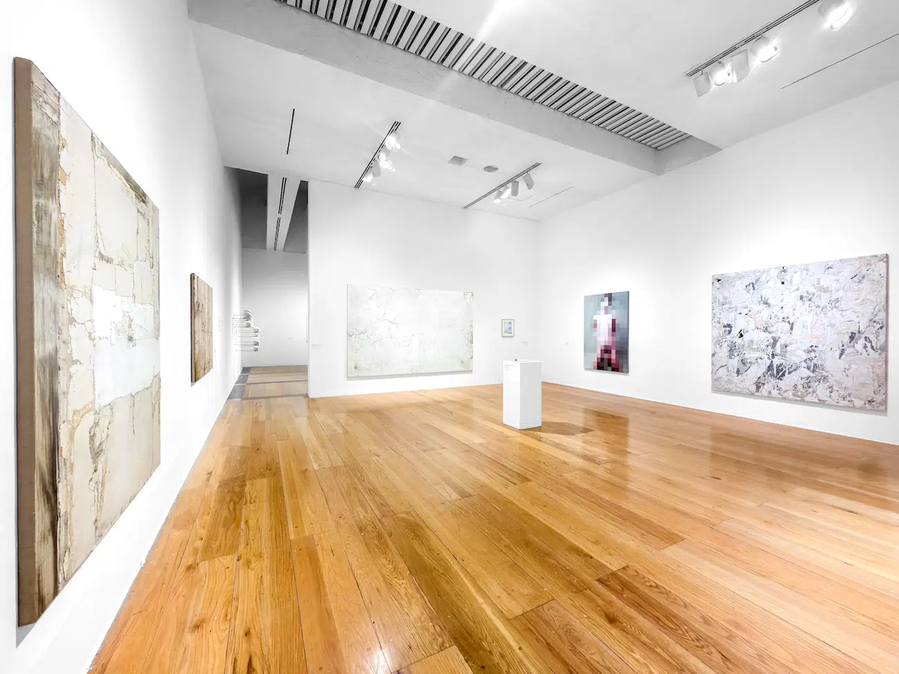 Installation View of Gabriel de la Mora's exhibition La Petite Mort at MARCO 
