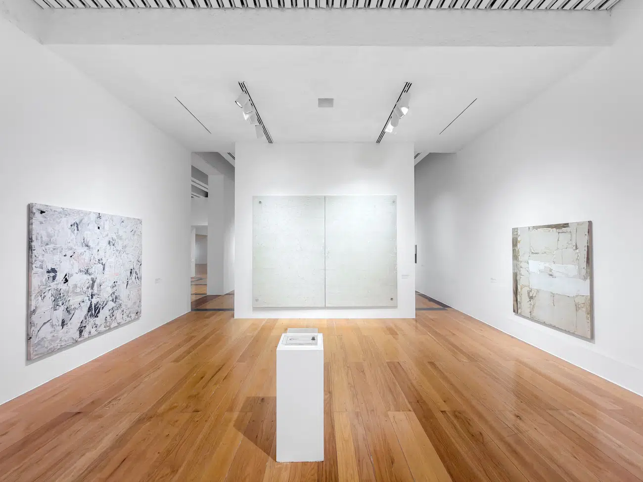 Installation View of Gabriel de la Mora's exhibition La Petite Mort at MARCO 