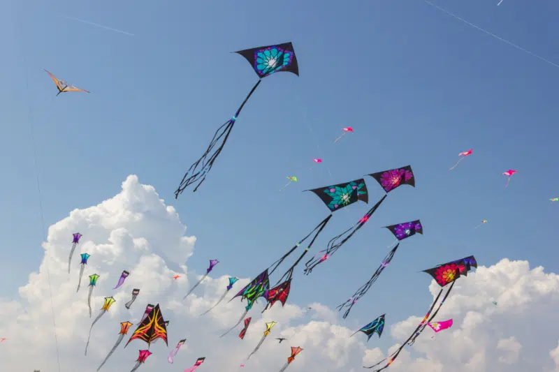 Kites flying
