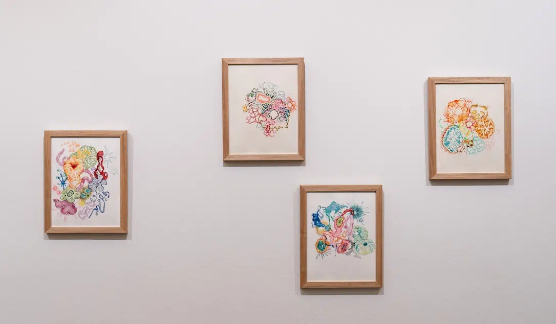 Paintings by Yoorim Ko