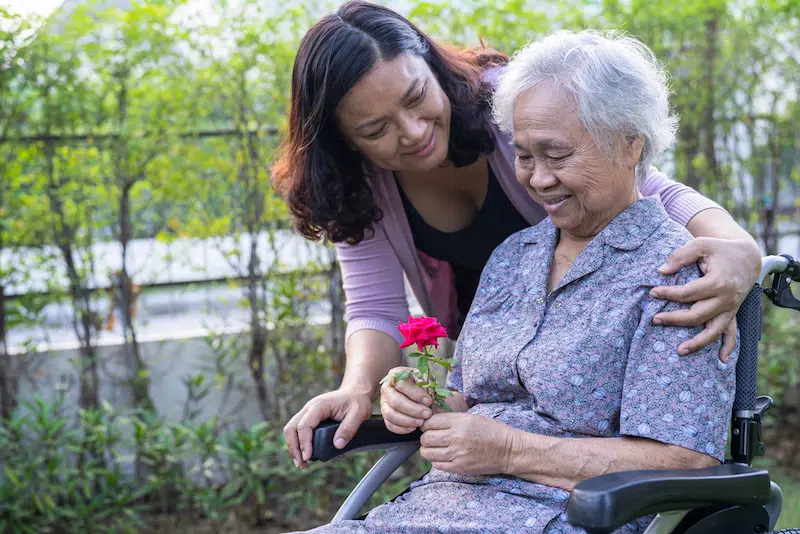 Caregiver daughter hug and help Asian senior or elderly old lady woman holding red rose on wheelchair in park.