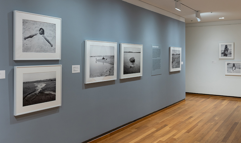 Installation view of Mimi Plumb's photography exhibition