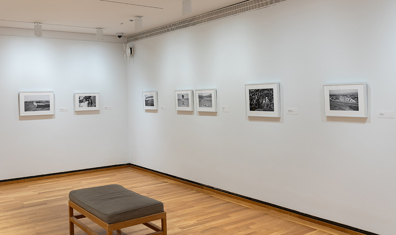 Installation view of Mimi Plumb's photography exhibition