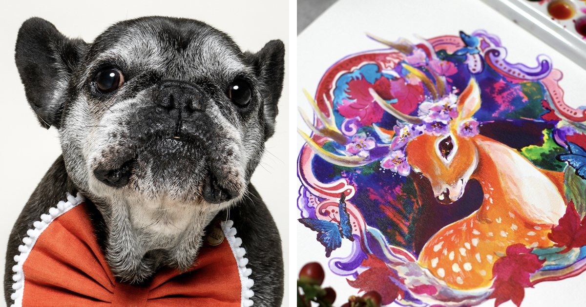 Learn To Snap Swoon-Worthy Pet Photos and Paint Their Portraits in These Online Classes