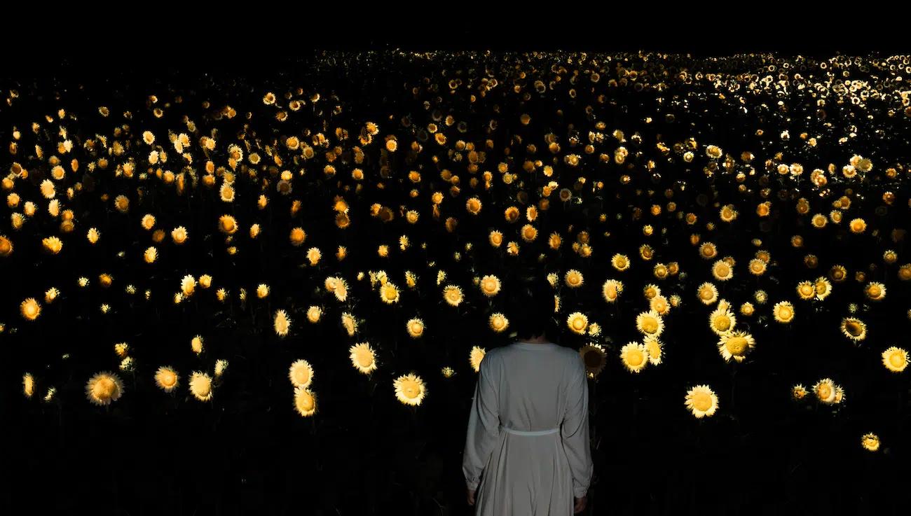 Art Installation of field of glowing sunflowers