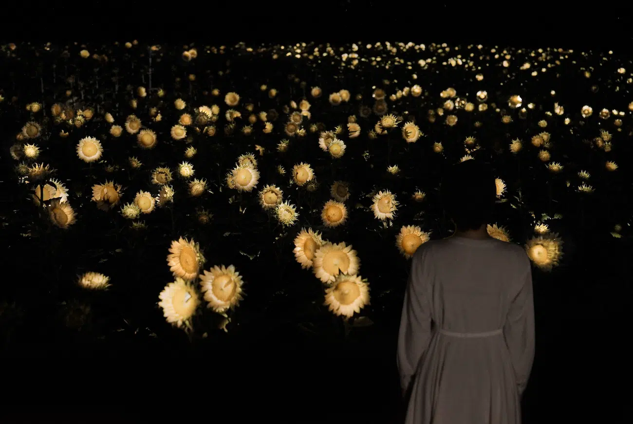 Art Installation of field of glowing sunflowers