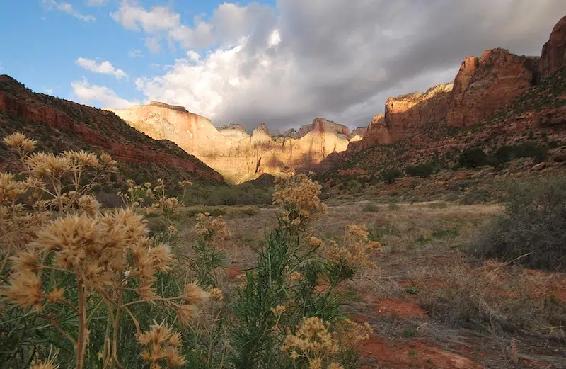 Temples and Towers at Zion National Park