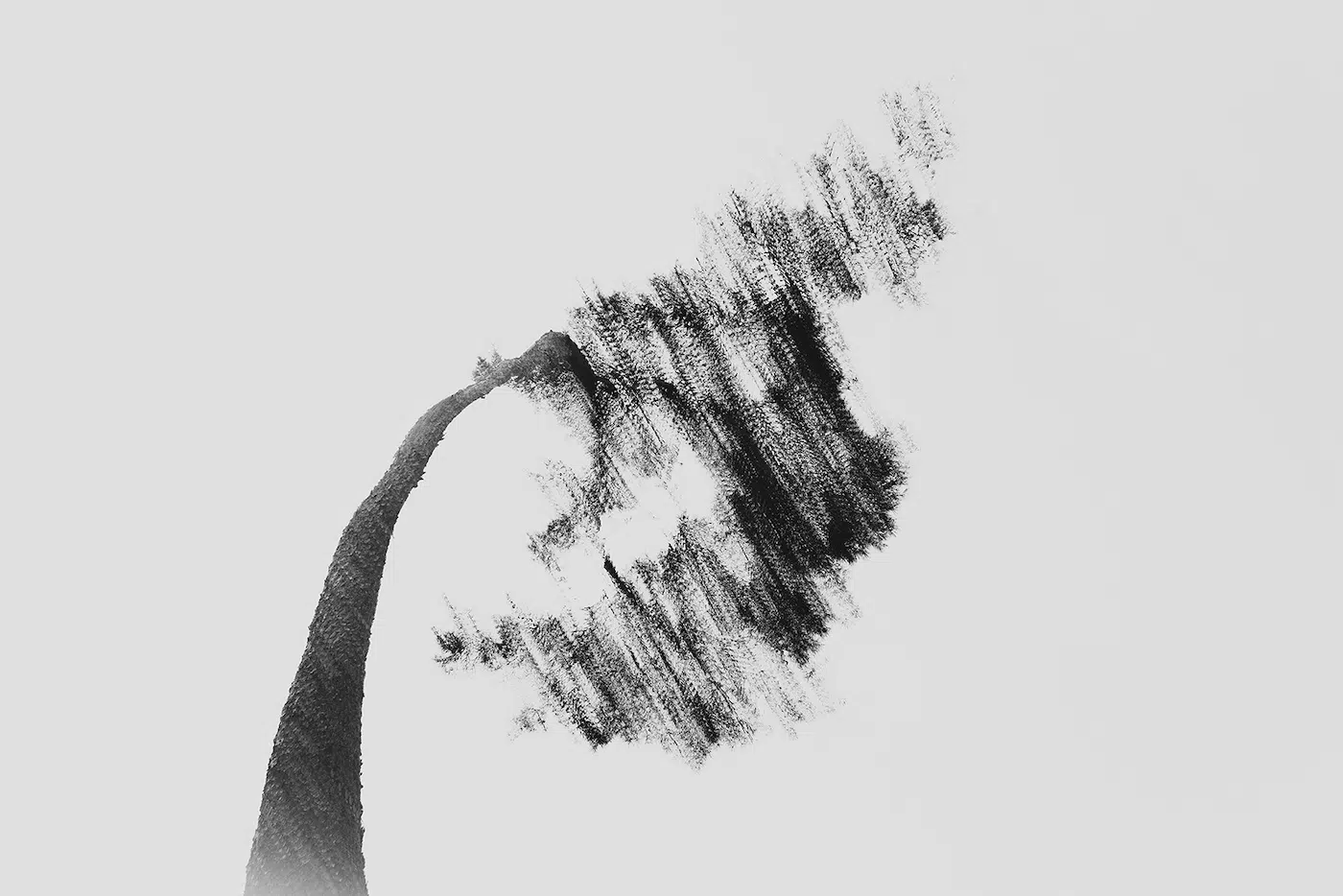 Photo &copy; hyeong gyu ku / Minimalist Photography Awards 2026