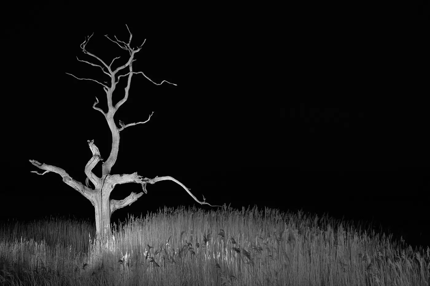 Peter Orton / Minimalist Photography Awards 2026