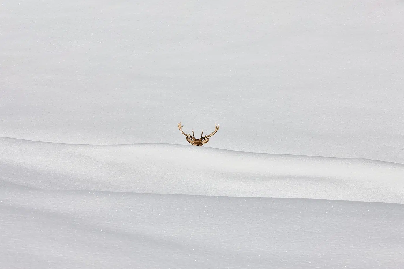 Iris Dahan / Minimalist Photography Awards 2026