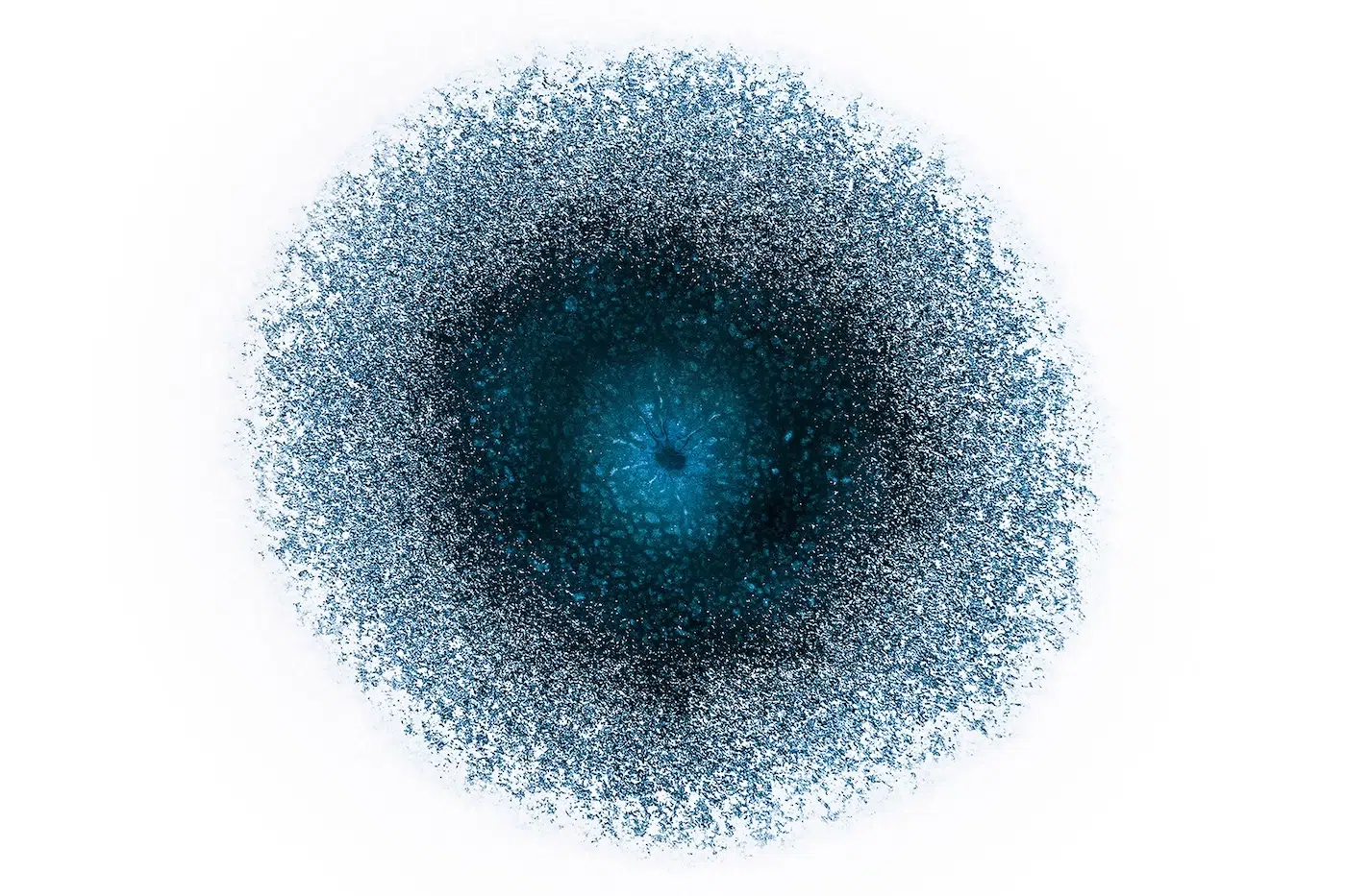Marcin Giba / Minimalist Photography Awards 2026