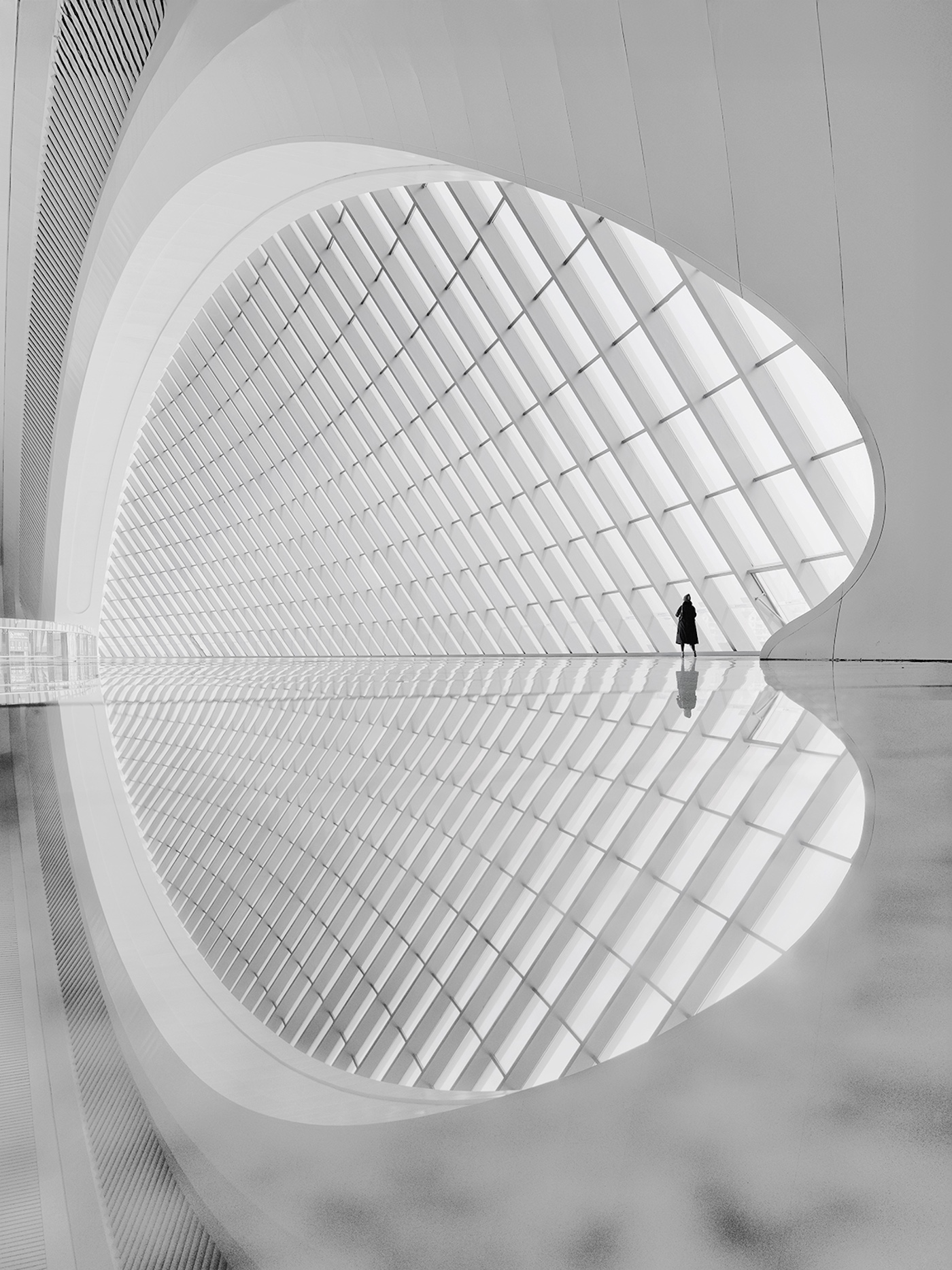 Nina Papiorek / Minimalist Photography Awards 2026