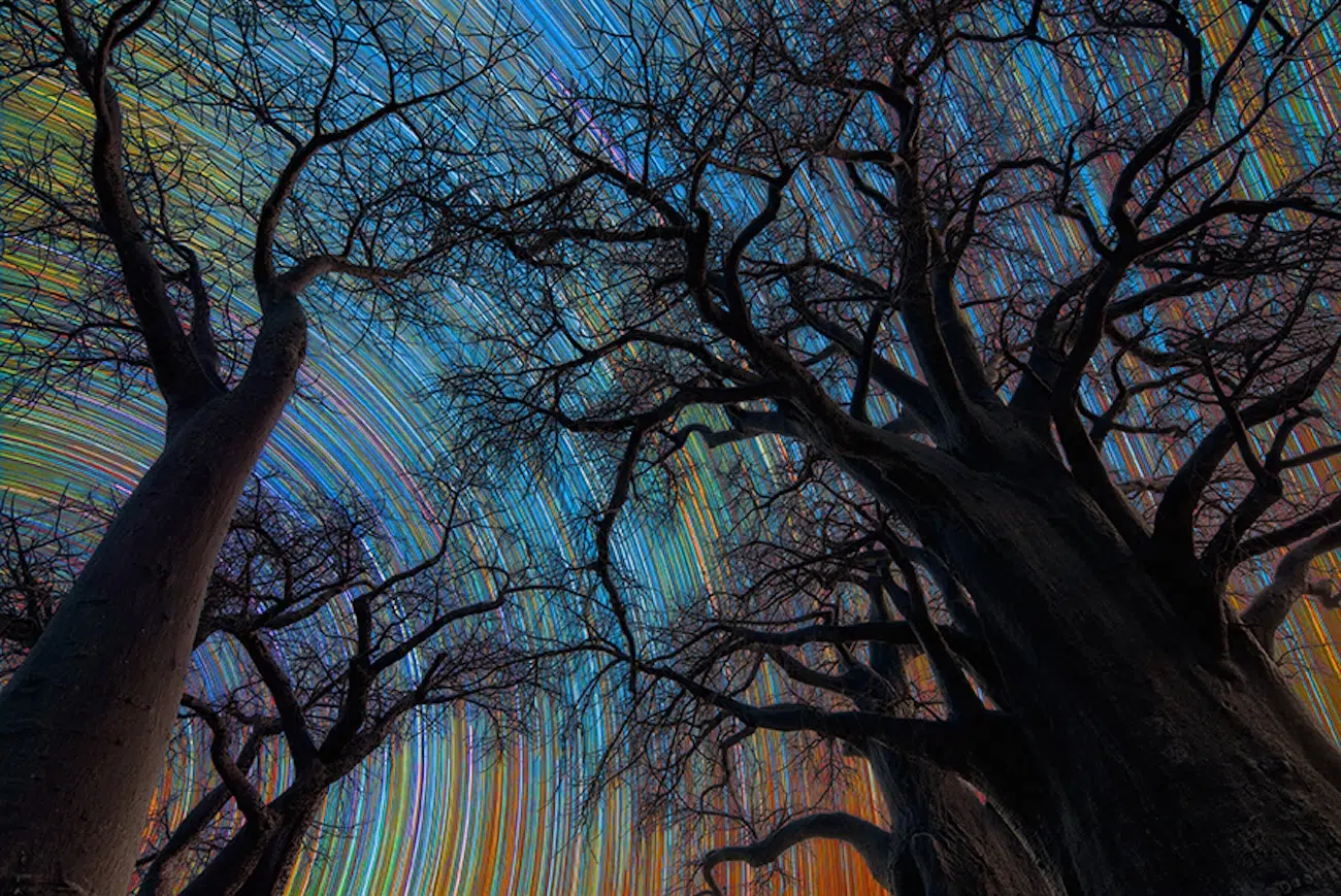 Winners of ZWO Astronomy Photographer of the Year 18