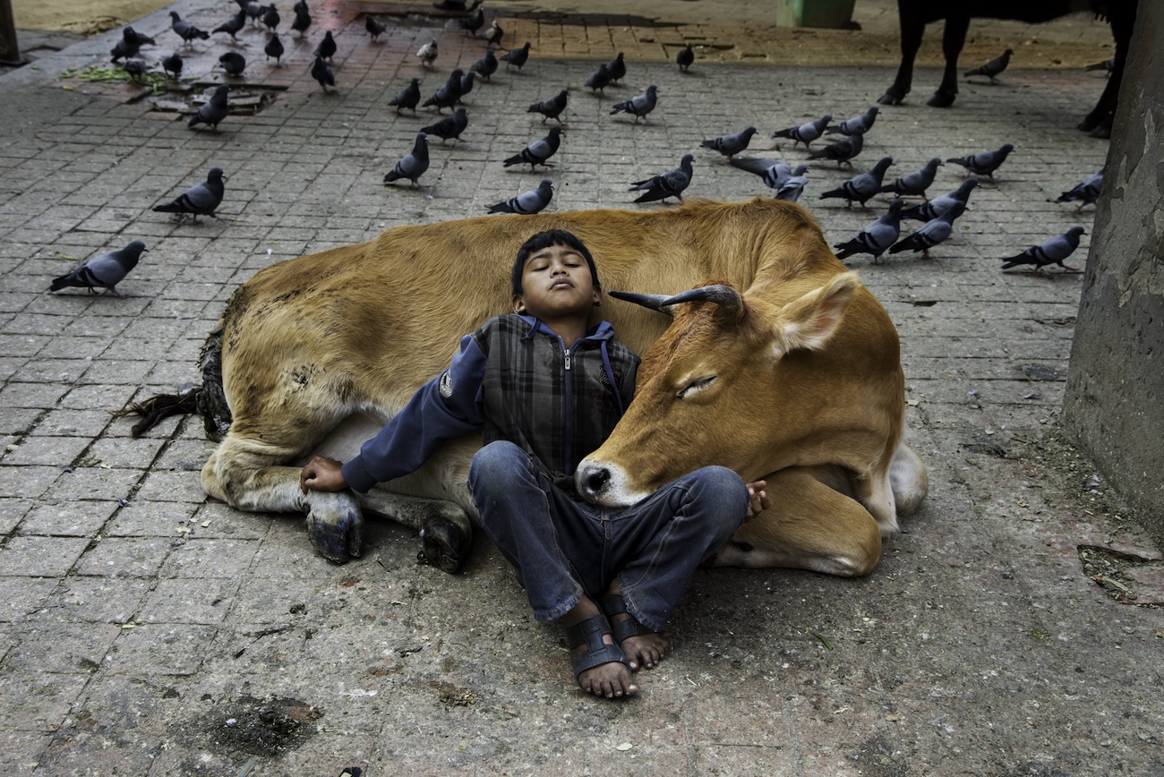 Photography by Steve McCurry