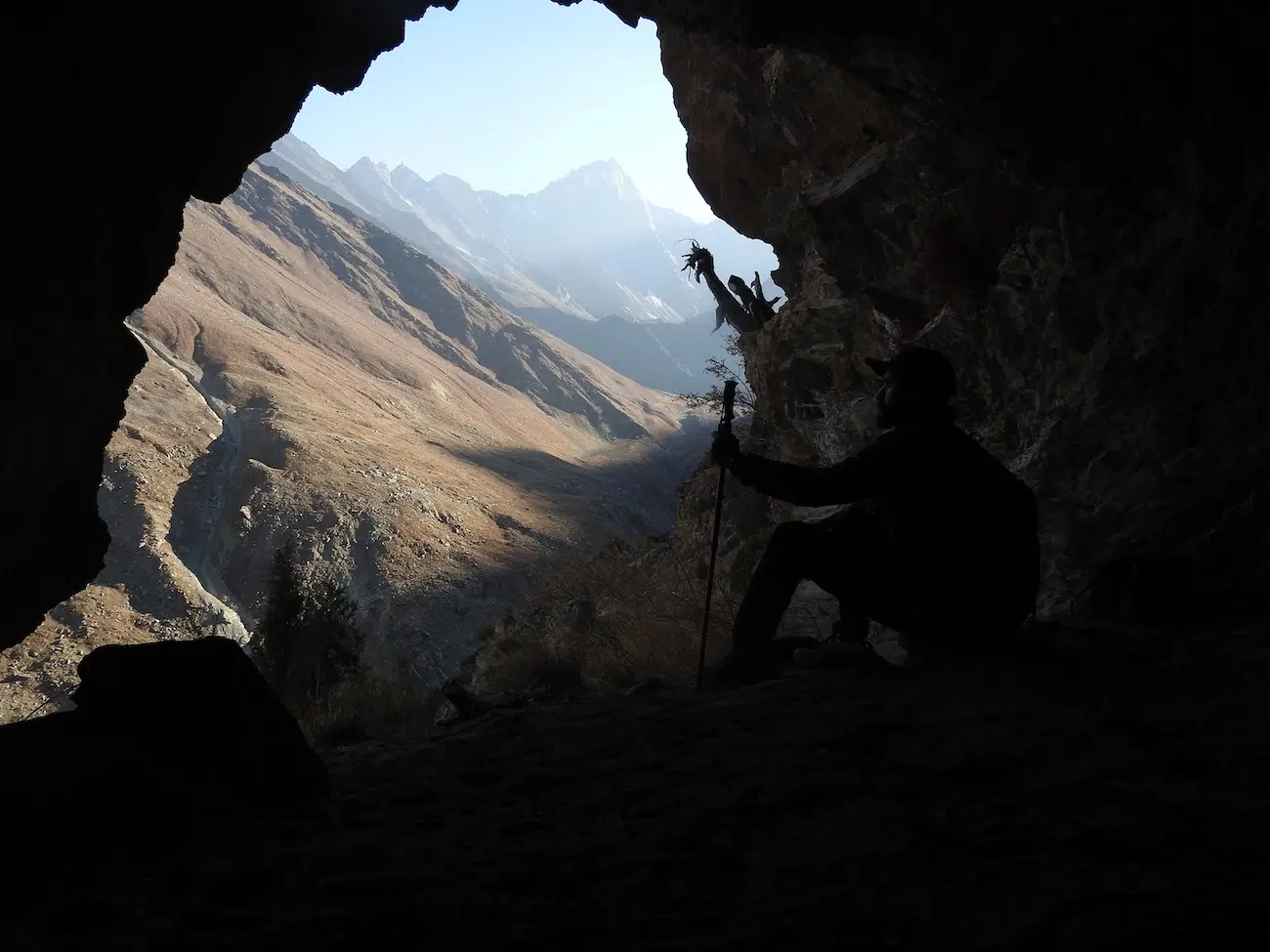 Photo Contest BMC Ecology and Evolution and BMC Zoology Winners