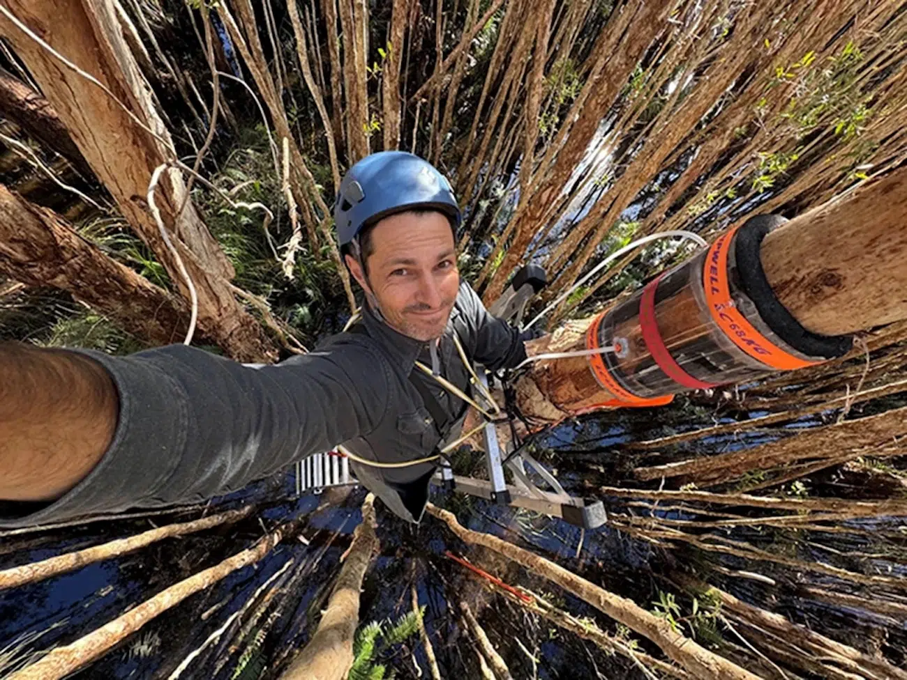 Photo Contest BMC Ecology and Evolution and BMC Zoology Winners