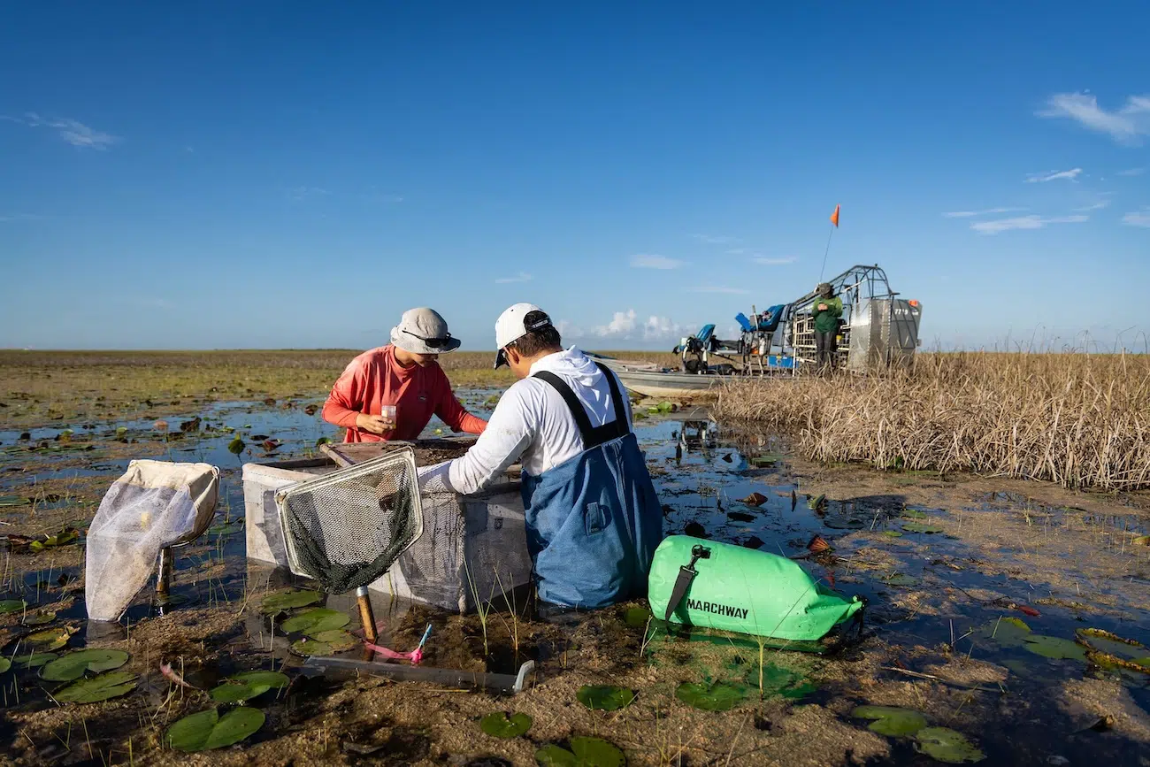 Photo Contest BMC Ecology and Evolution and BMC Zoology Winners