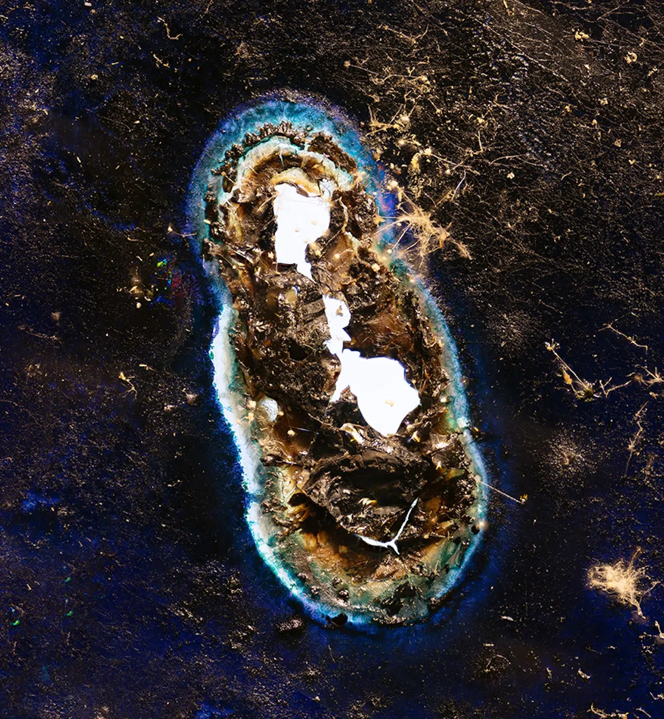 Winners of ZWO Astronomy Photographer of the Year 18