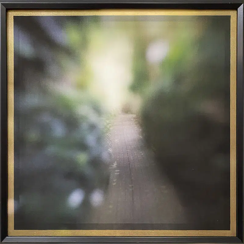 Brick Path, Kirsten Hoving, Ink-based multimedia layered image on silk organza and archival paper in shadowbox format 22&rdquo; x 22&rdquo; (framed).