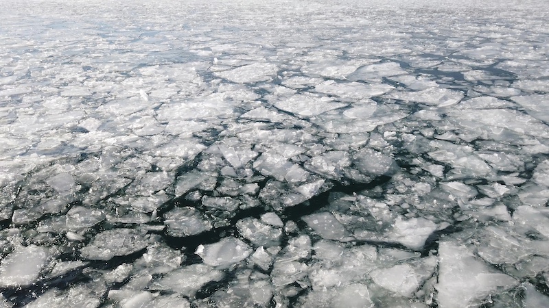 Melting ice sheets on surface of ocean. 