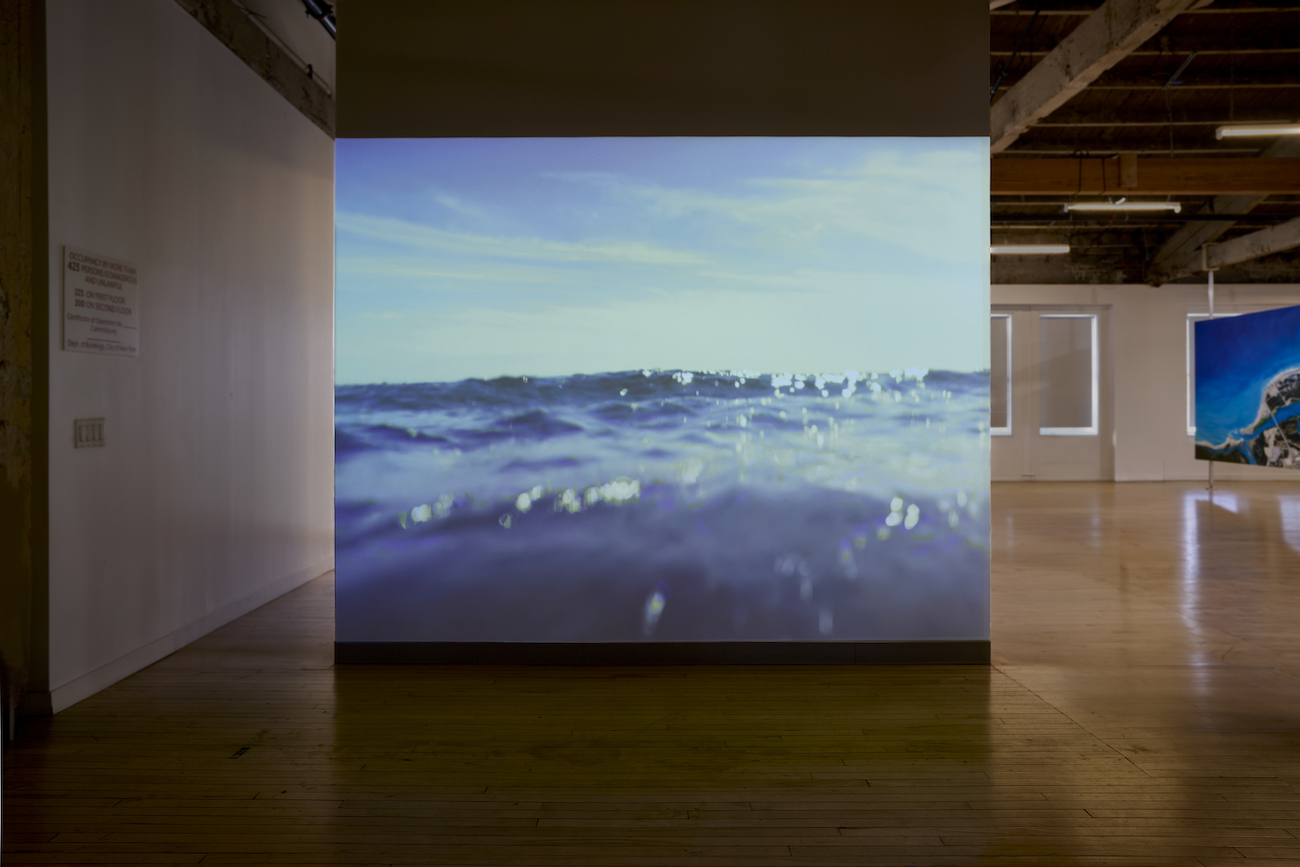 Installation View of Leslie Wayne's UHD video of The Unintended Blues