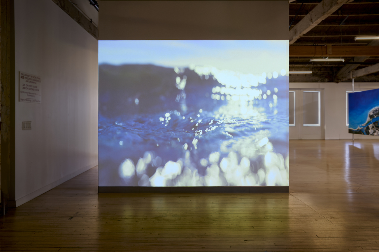 Installation View of Leslie Wayne's UHD video of The Unintended Blues