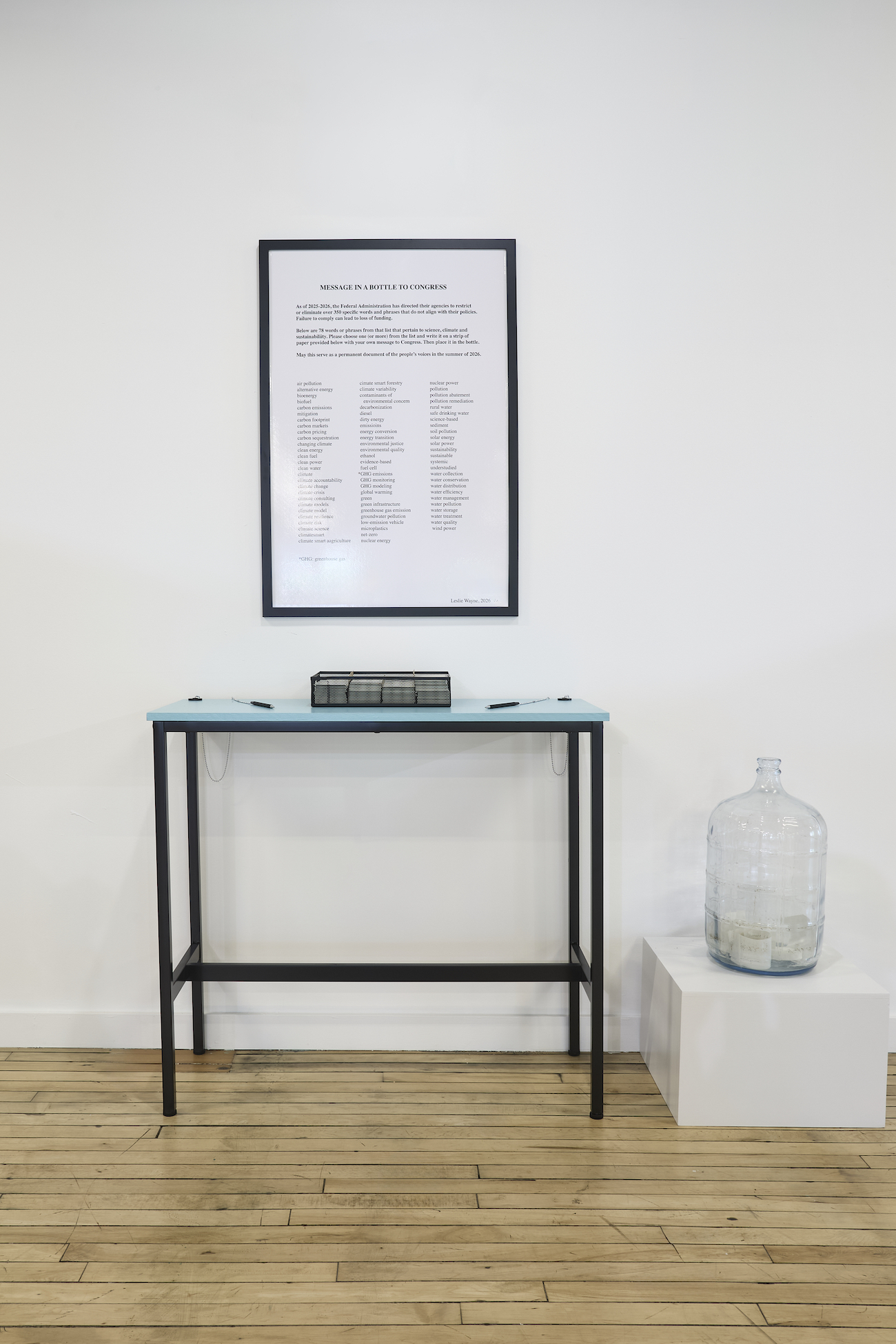 Installation View of Leslie Wayne's The Unintended Blues.