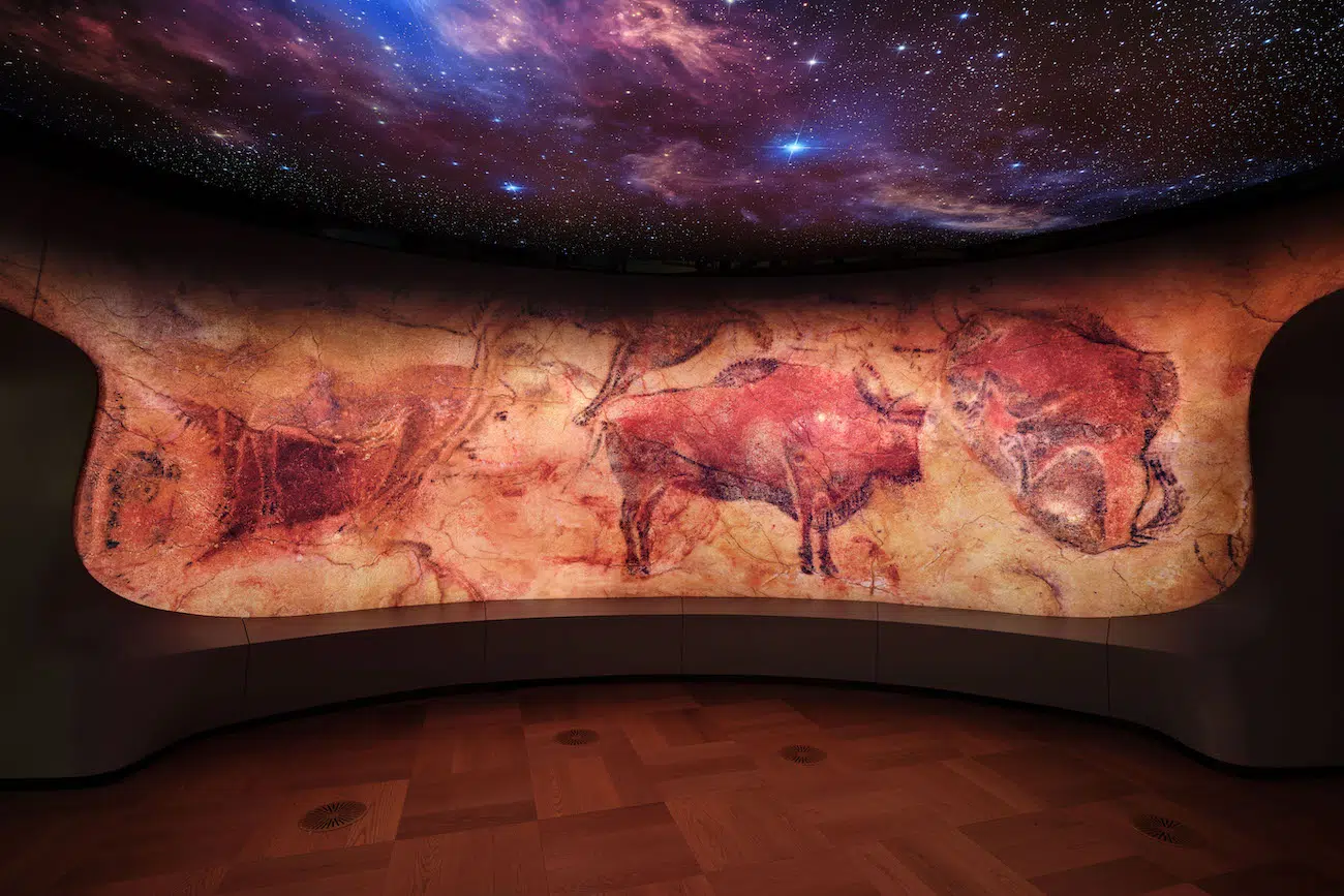 Cave Paintings inside Lucas Museum of Narrative Art