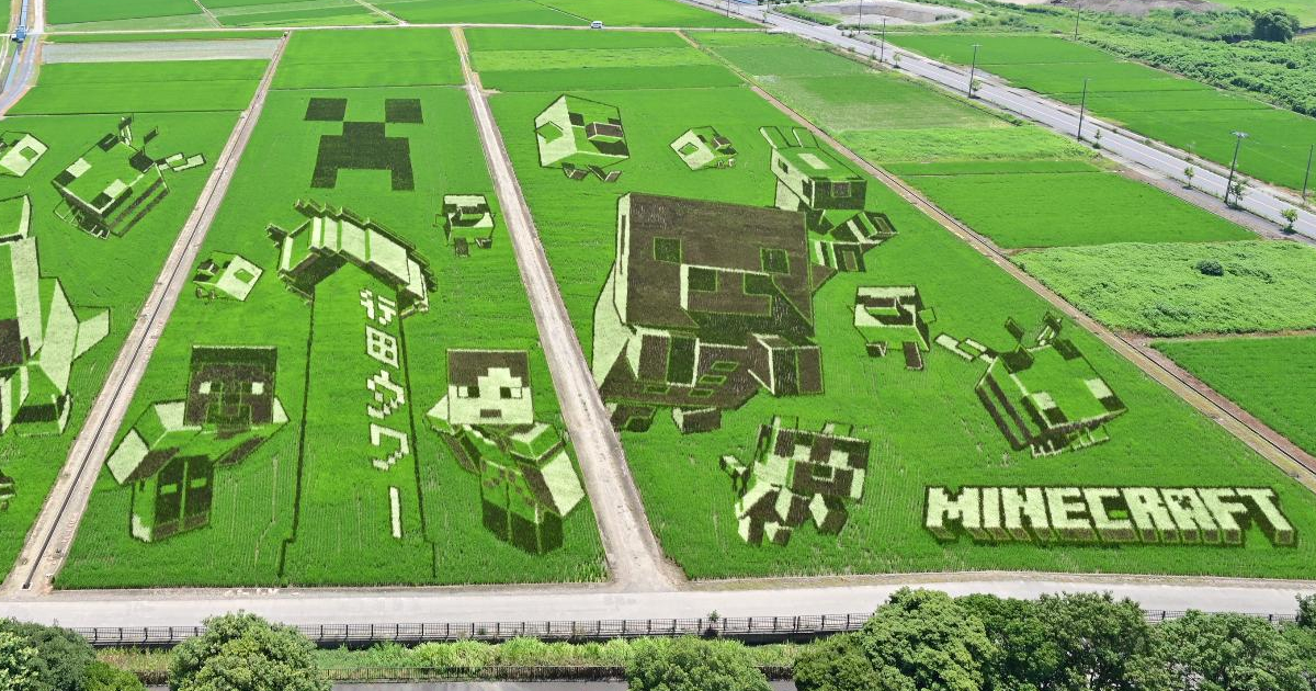 Japanese Town Creates Massive Minecraft-Inspired Design for Annual Rice Paddy Art Project