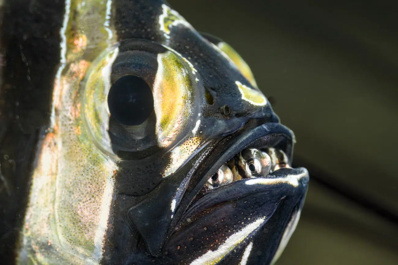 Ocean Photographer of the Year Winners 2026