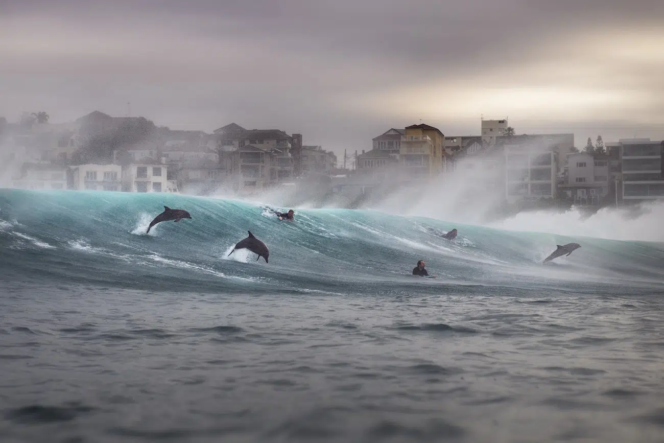 Ocean Photographer of the Year Winners 2026