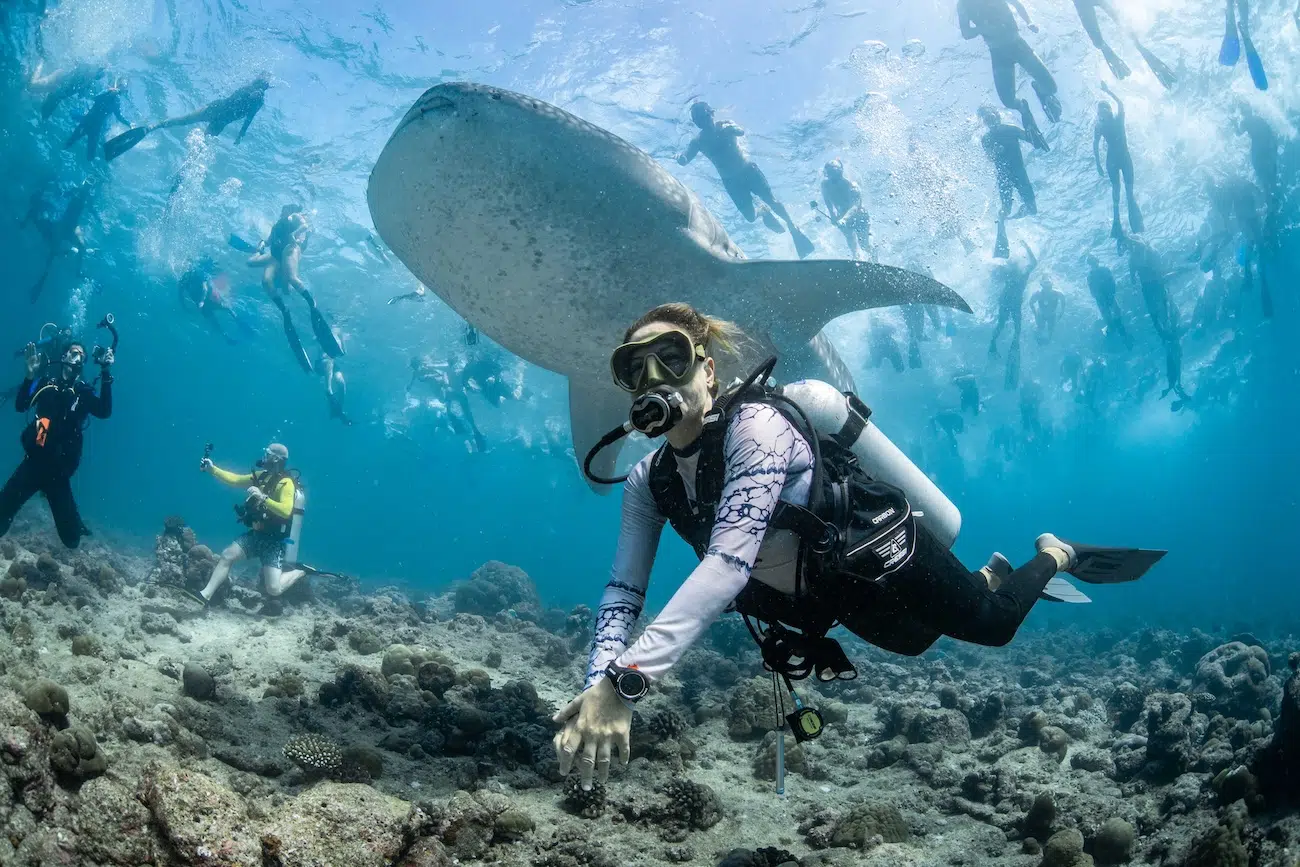 Ocean Photographer of the Year Winners 2026