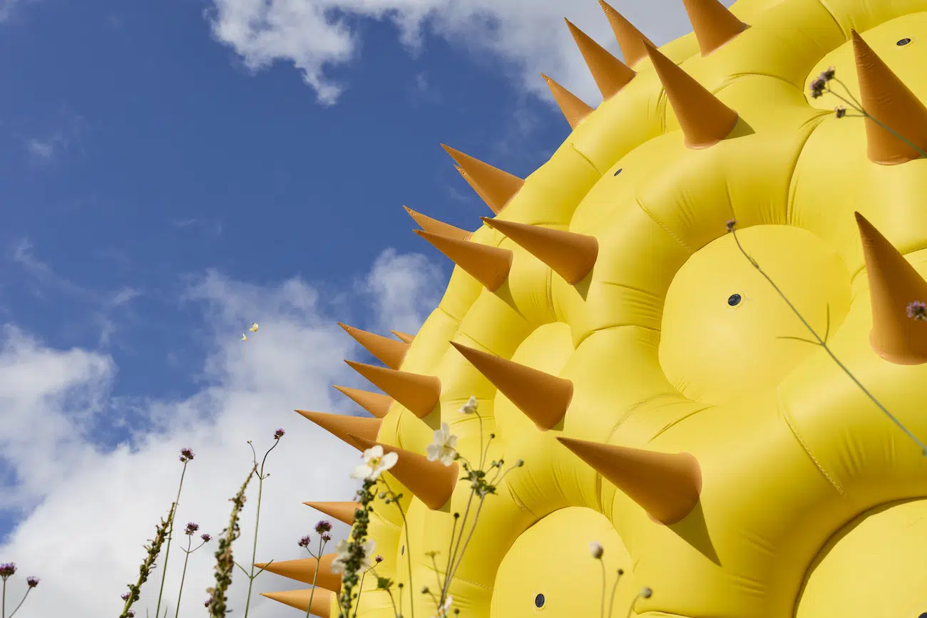 Installation of Pollenarium Sculpture by Luke Jerram
