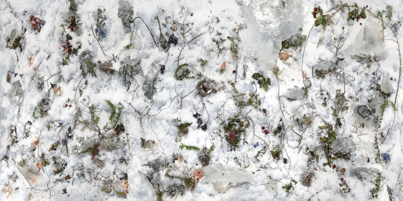 Tanya Marcuse Photograph on view at CPW