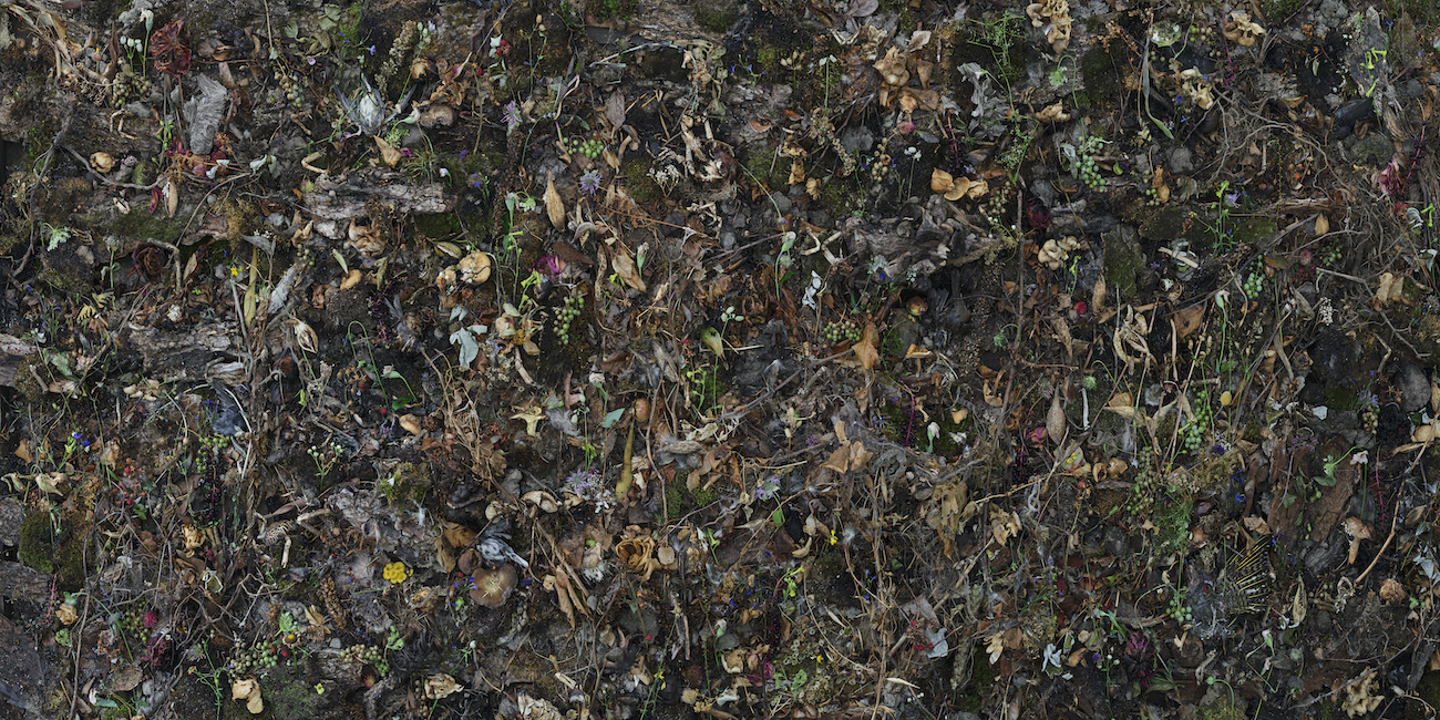 Tanya Marcuse Photograph on view at CPW