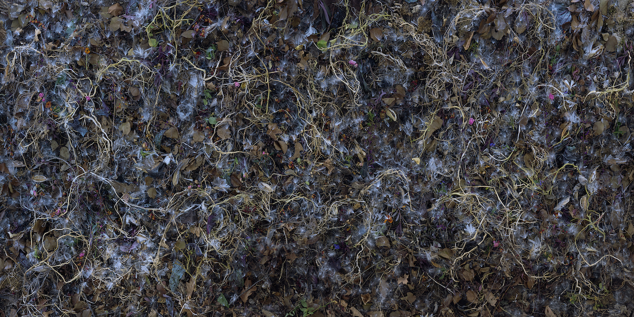 Tanya Marcuse Photograph on view at CPW