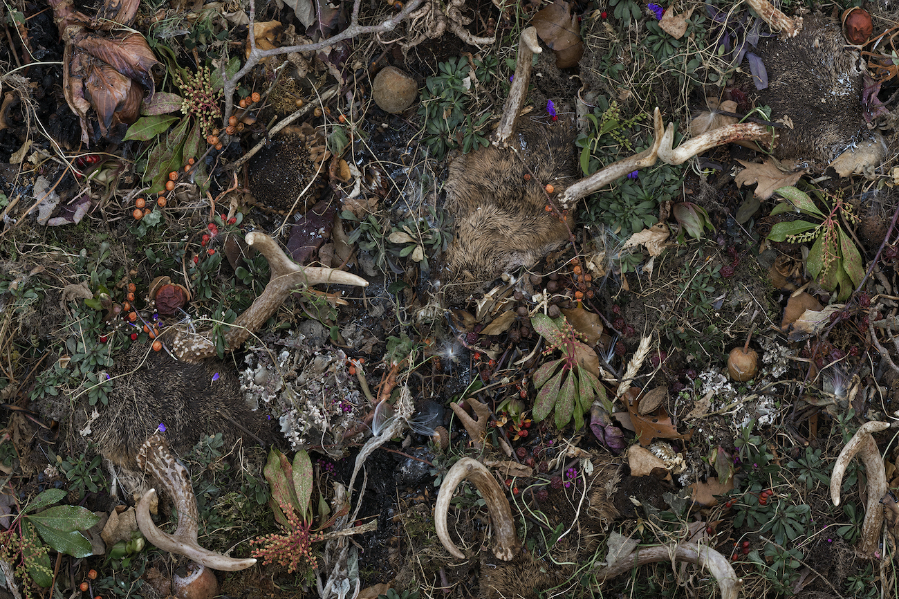 Tanya Marcuse Photograph on view at CPW