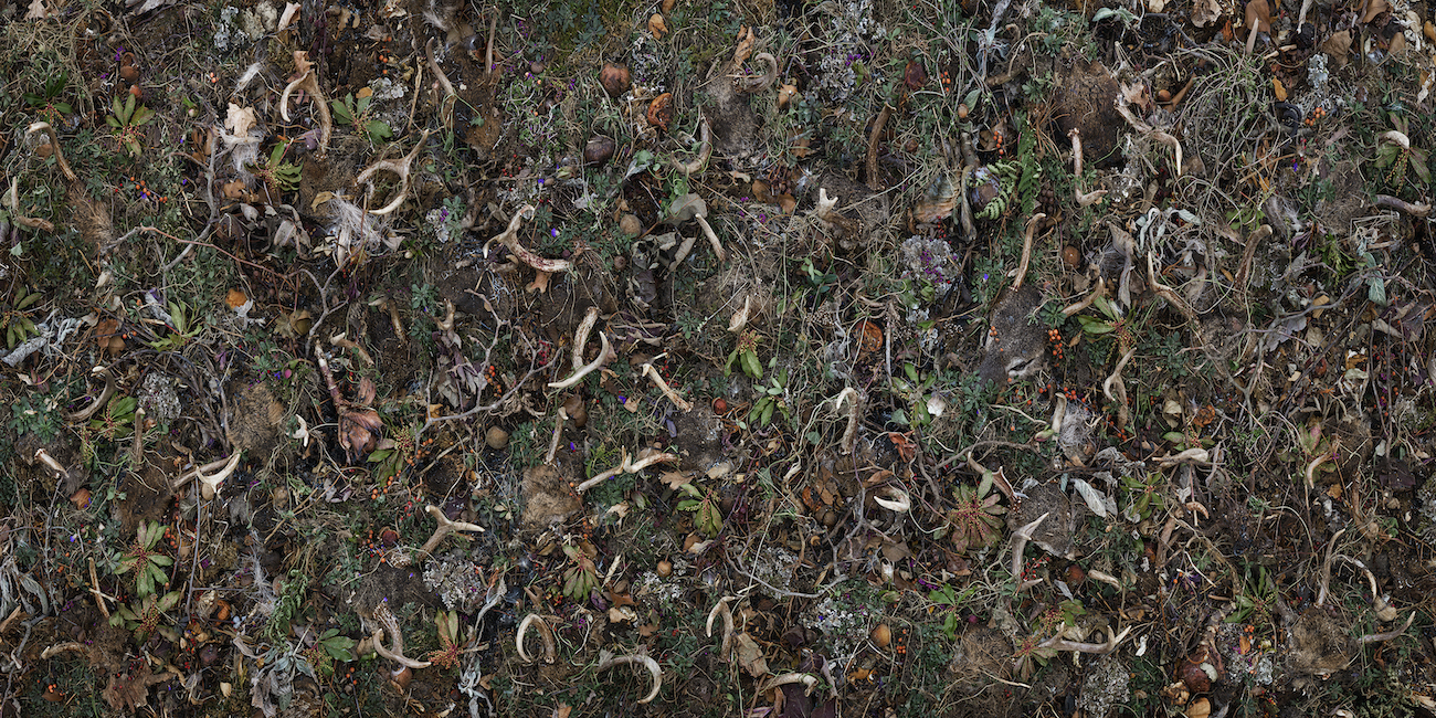 Tanya Marcuse Photograph on view at CPW