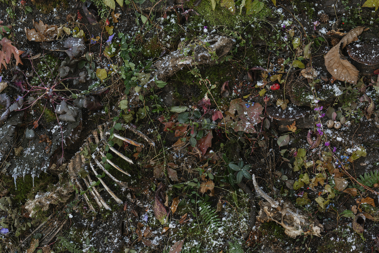 Tanya Marcuse Photograph on view at CPW