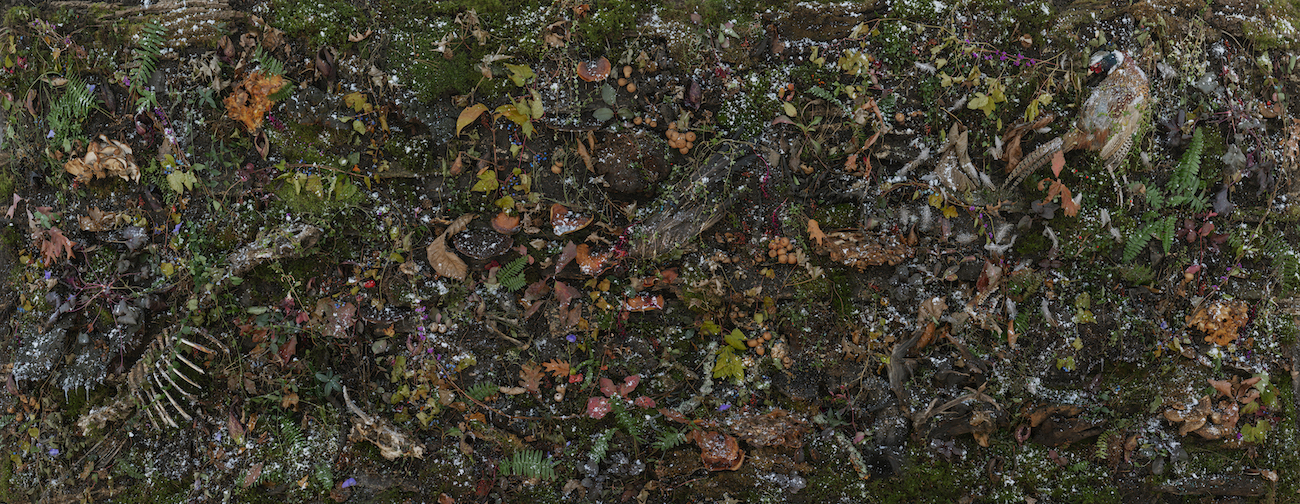 Tanya Marcuse Photograph on view at CPW