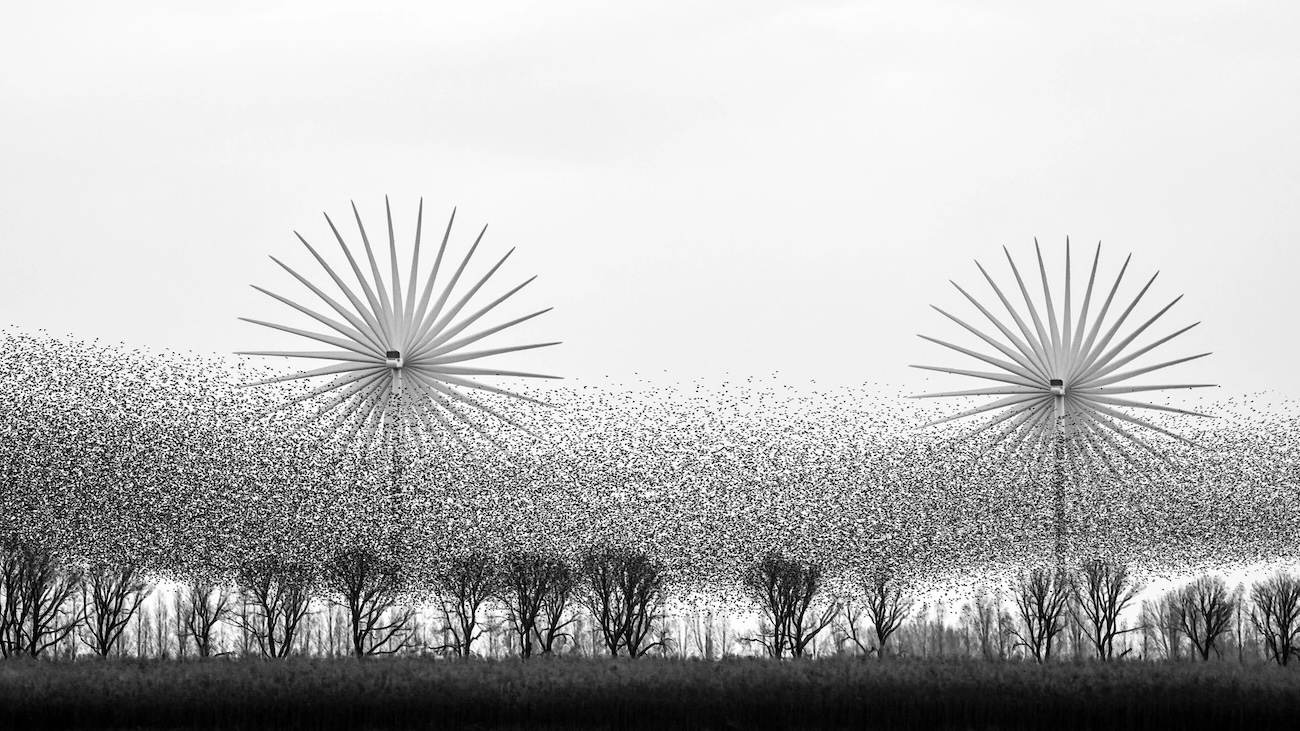 OurNature Environmental Photo & Video Award 2026 Winners