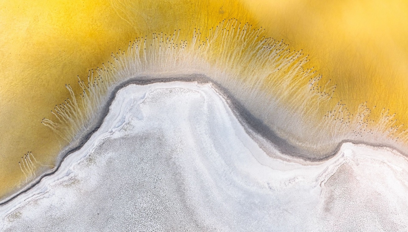 OurNature Environmental Photo & Video Award 2026 Winners