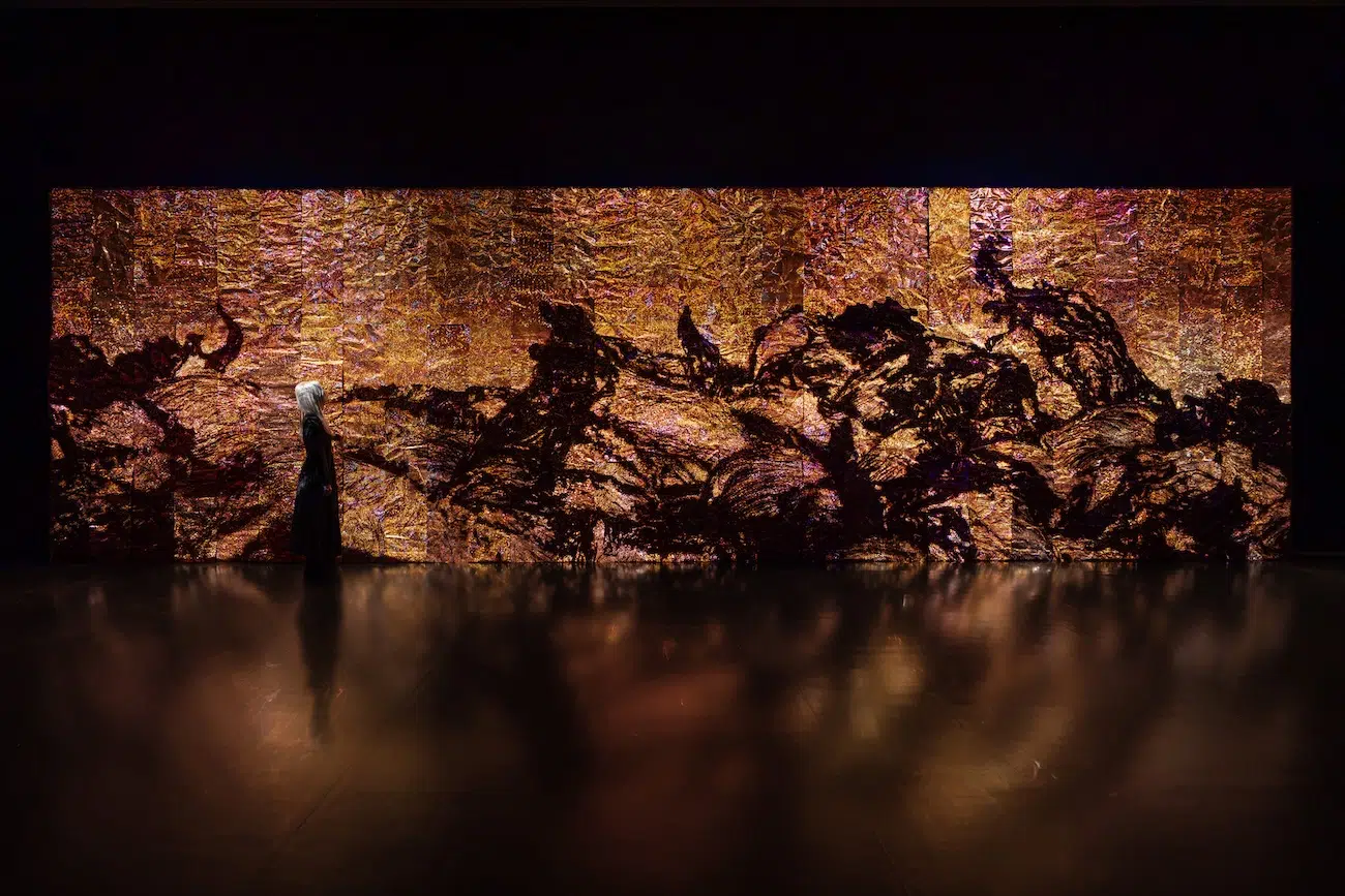 teamLab Exhibition in Chicago