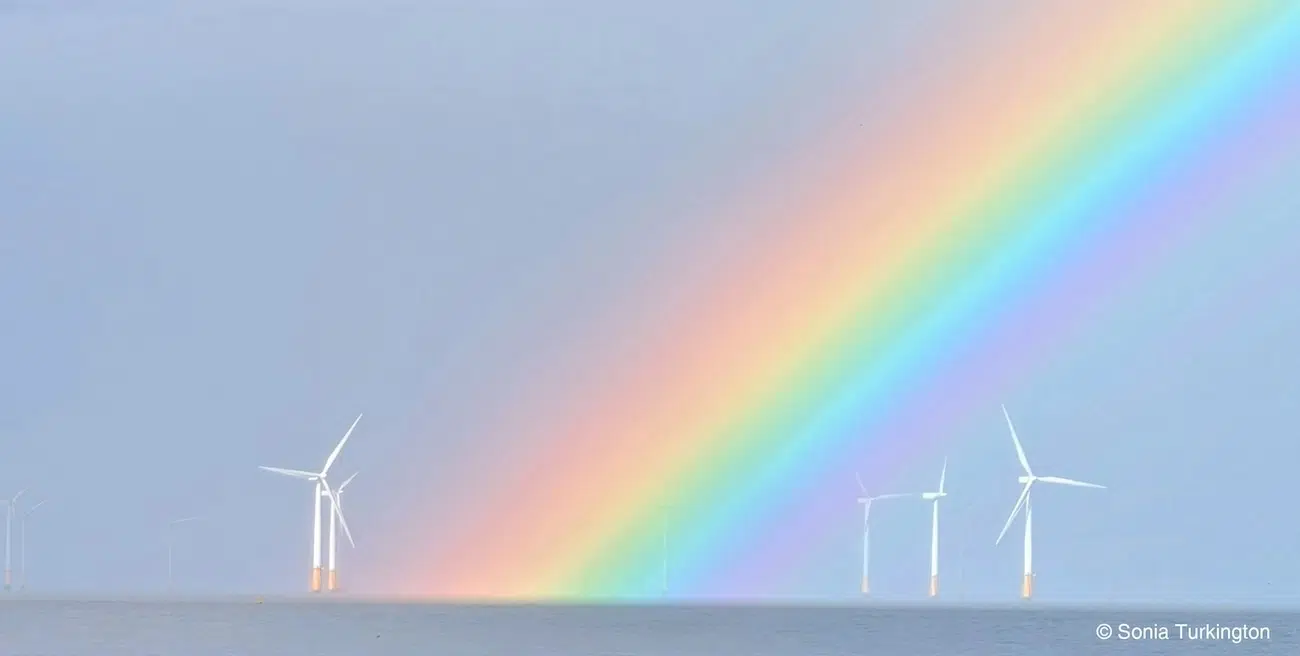 Weather Photographer of the Year Award