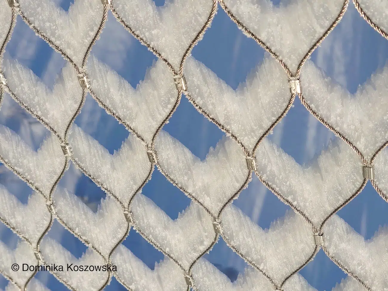 Weather Photographer of the Year Award