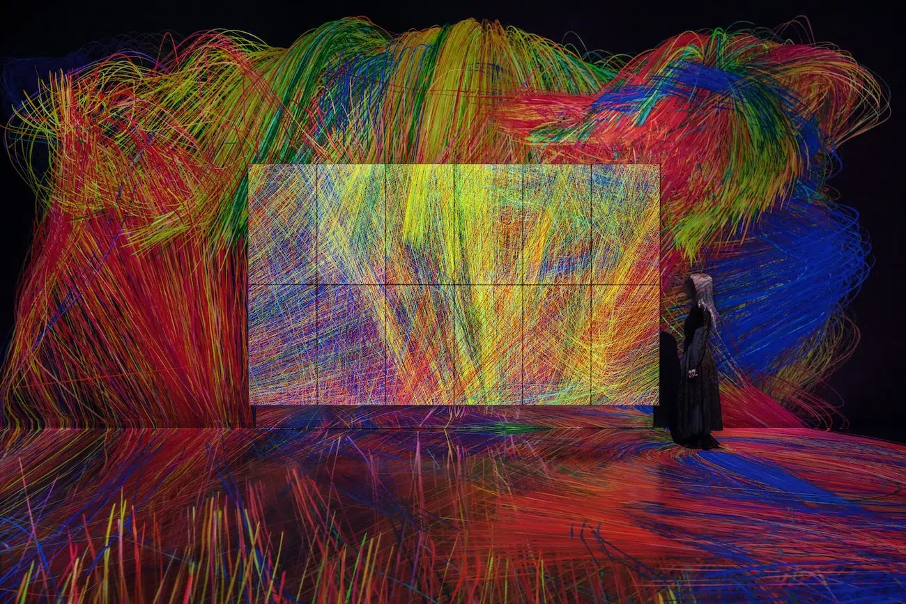 teamLab Exhibition in Chicago