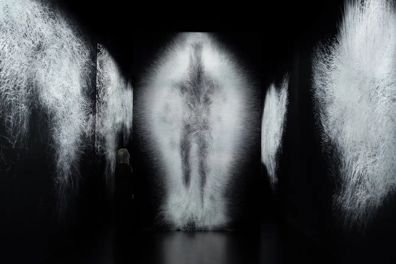 teamLab Exhibition in Chicago
