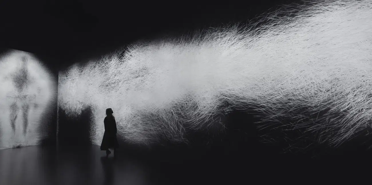 teamLab Exhibition in Chicago